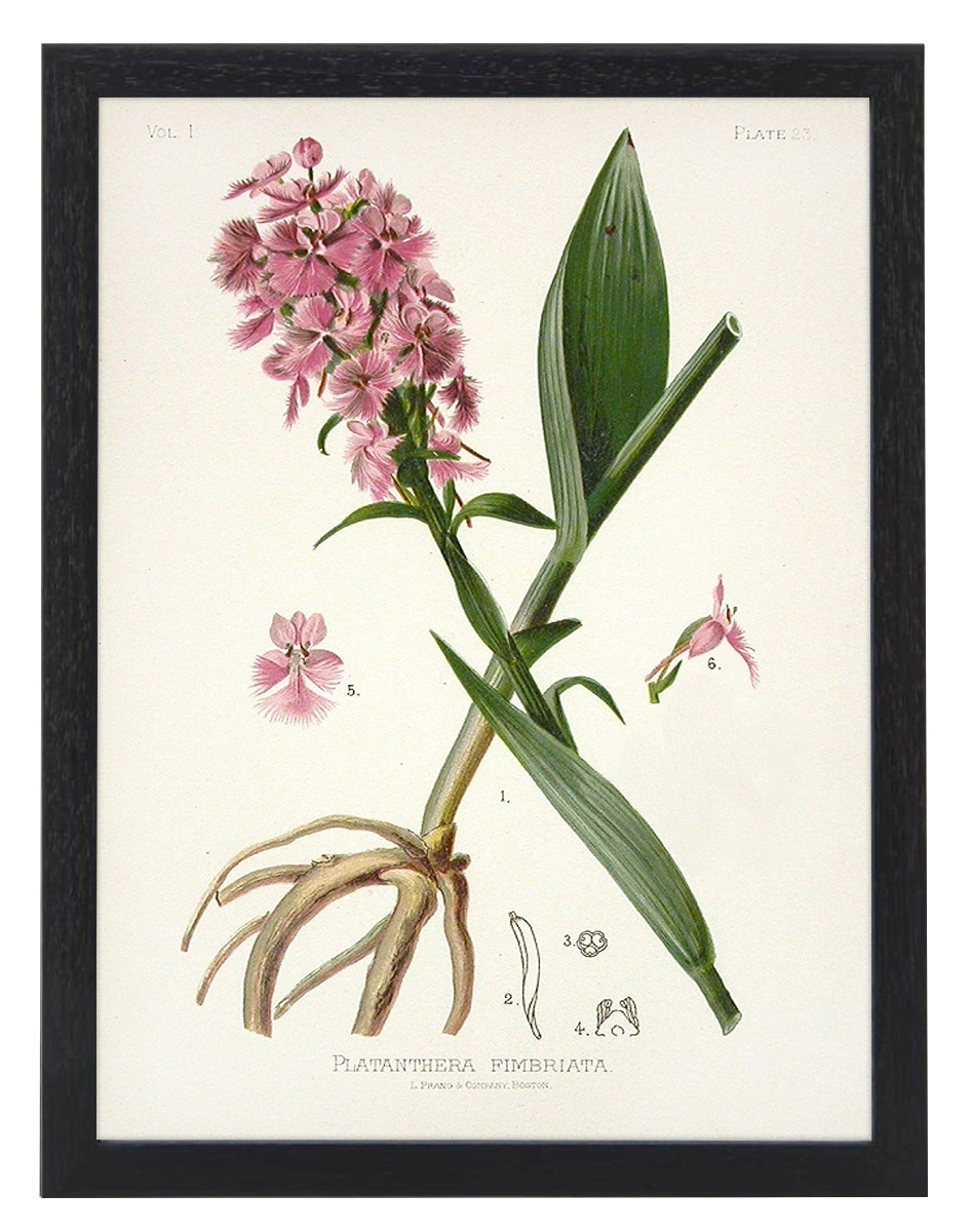 product-image-135