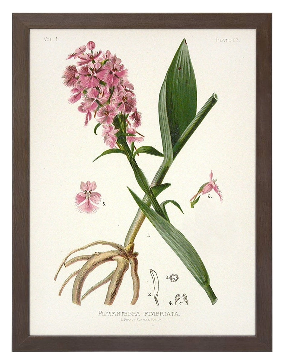 product-image-138
