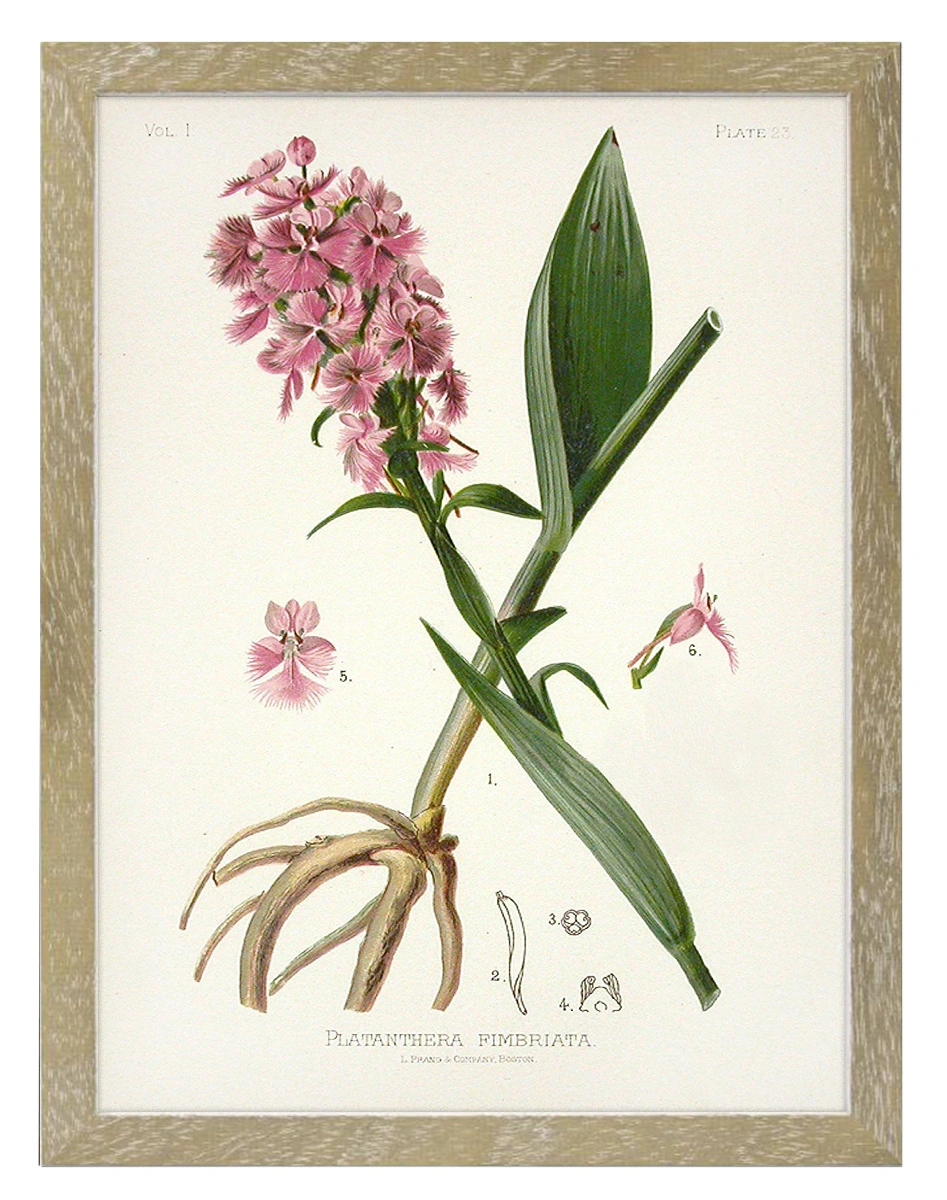 product-image-139