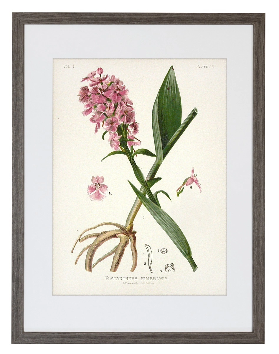 product-image-140