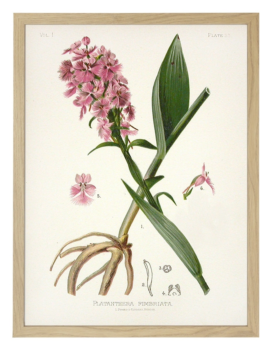 product-image-141
