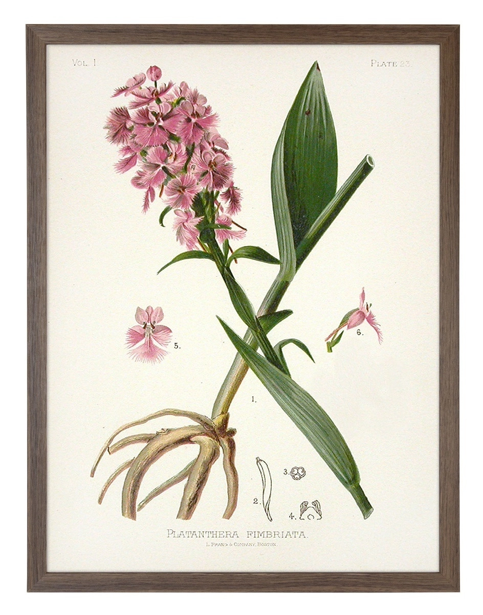 product-image-147