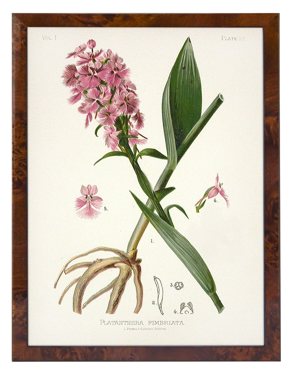 product-image-149