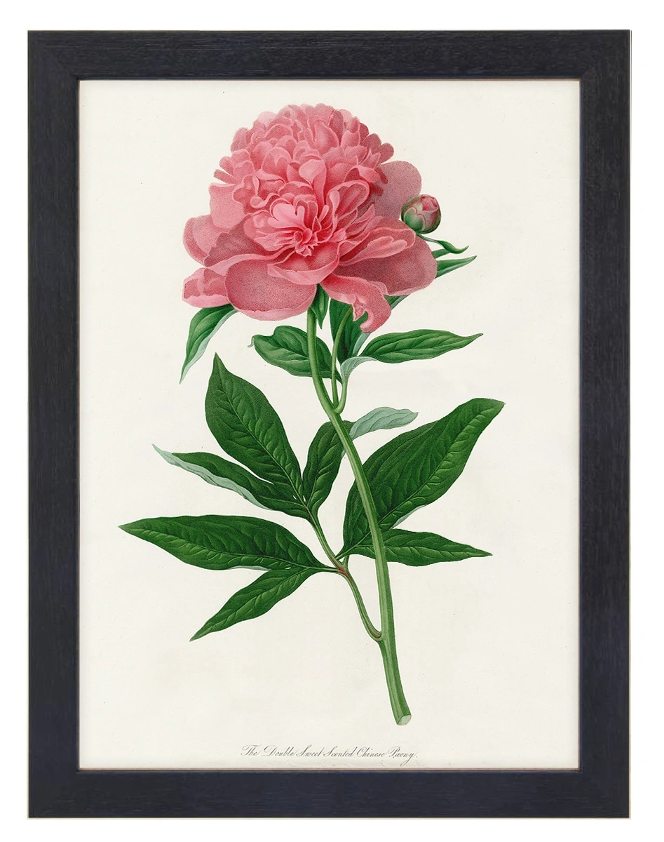 product-image-152