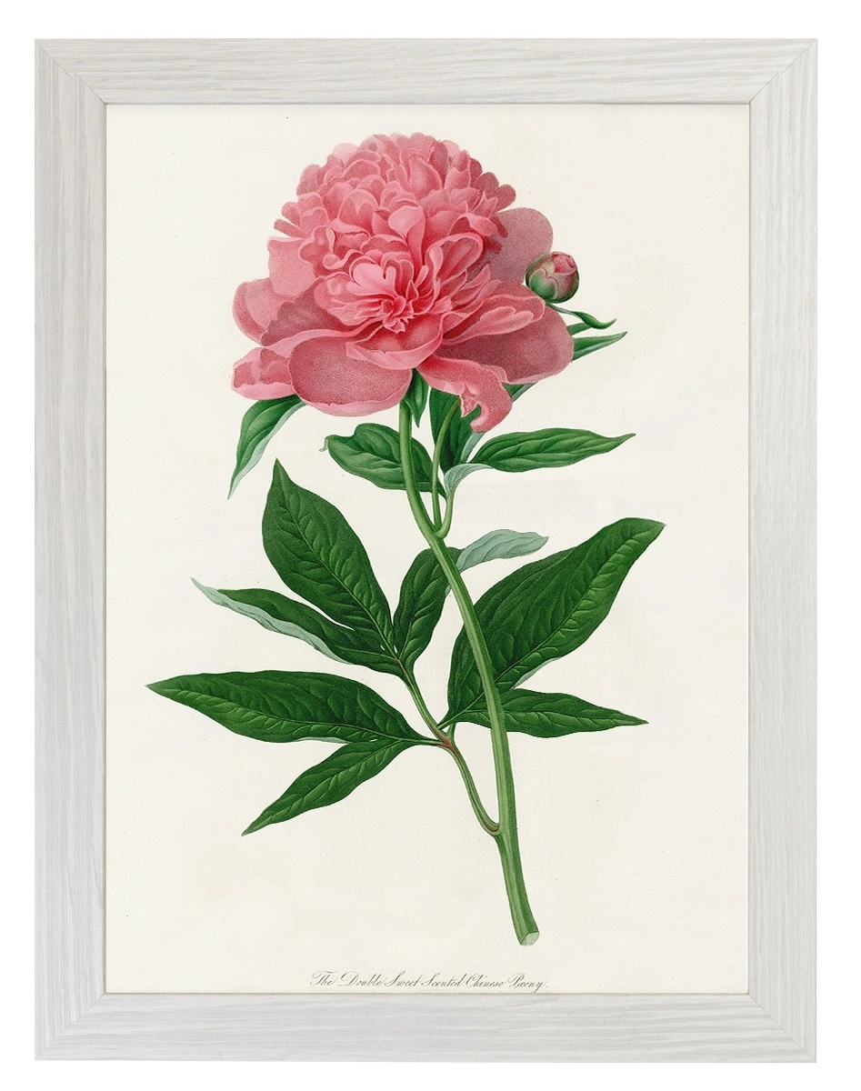 product-image-158