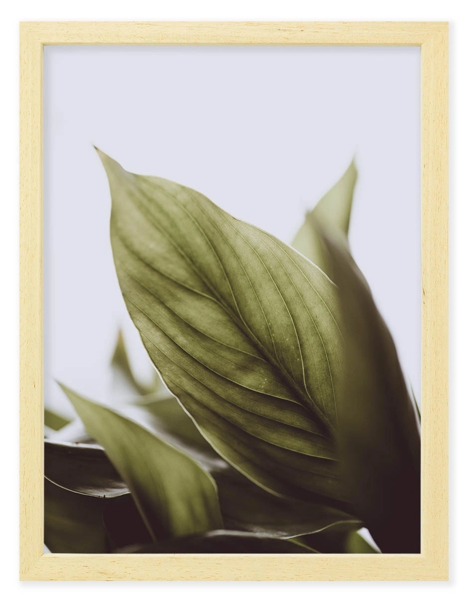 product-image-174