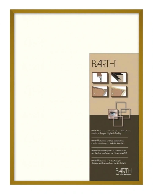 Barth wissellijst 916 CG - Curry
