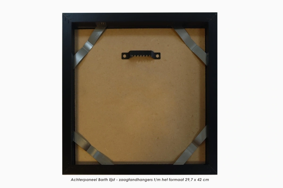 product-image-479
